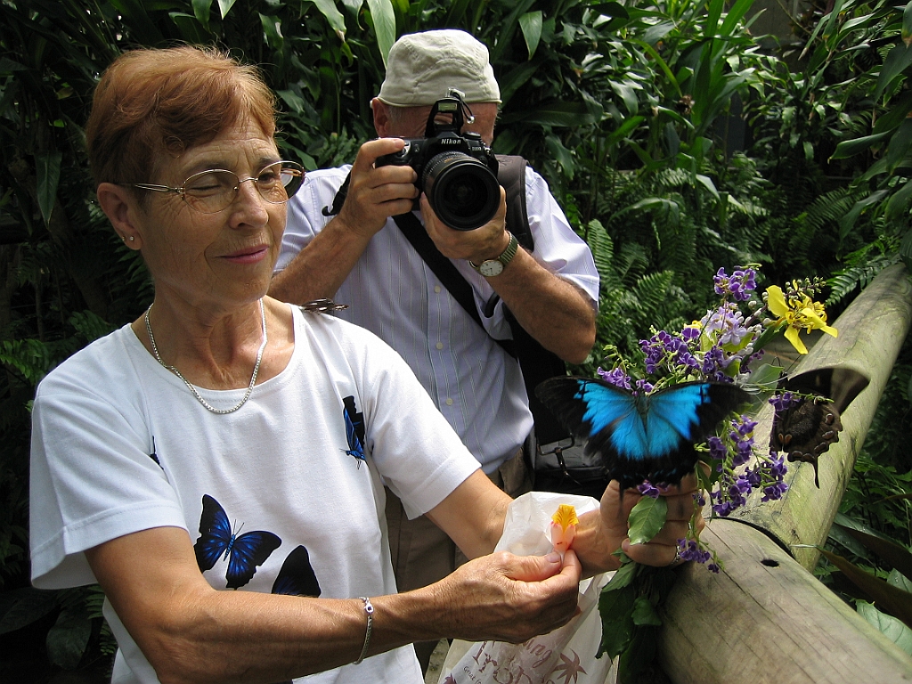 005 Butterfly Sanctuary.jpg